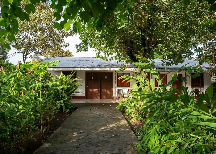 Hotel Tortuguero Beachfront