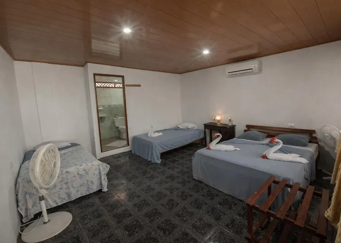 Hotel El Icaco Tortuguero