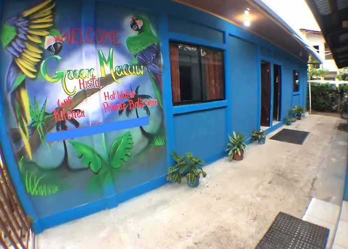 Green Macaw Hostel